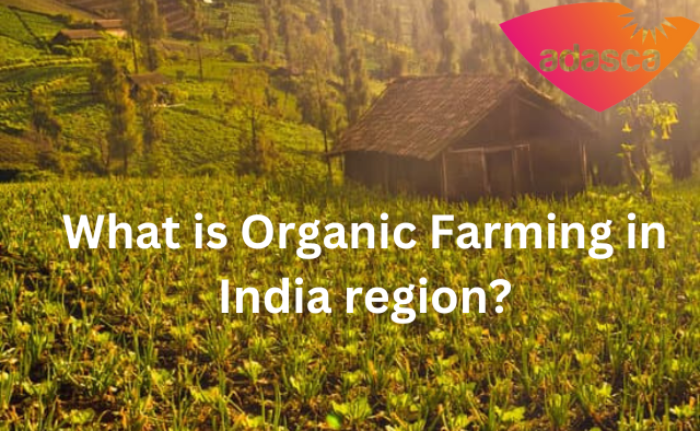 What is Organic Farming in India region?
